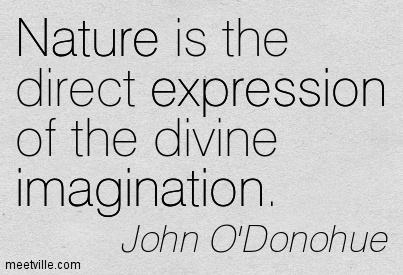 Quotation-John-O-Donohue-imagination-expression-nature-Meetville-Quotes-238855